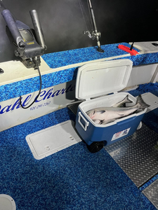 Salmon Fishing Dreams In Lake Michigan